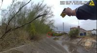 Unbelievable moment cop shoots jaywalker FIFTEEN times during pursuit