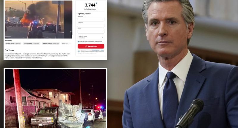 Vallejo, California residents beg Newsom for help with surging crime as LA burns