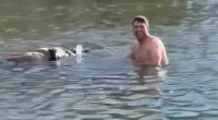 Video of drowning rodeo horse sparks feud in Ice Road Truckers' family