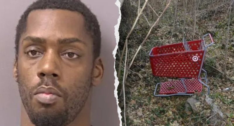 Video shows 'shopping cart killer' suspect leaving hotel room with women's bodies: prosecutors