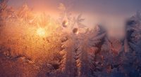 Warming centers open in Tampa Bay ahead of wintry weather