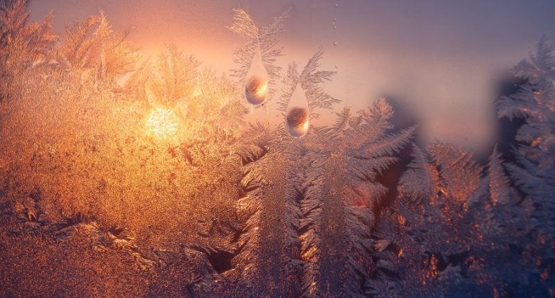 Warming centers open in Tampa Bay ahead of wintry weather
