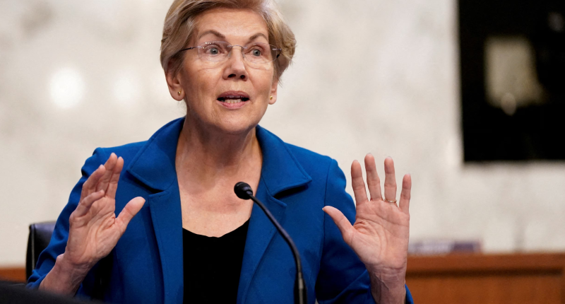Warren Demands Trump Address Musk’s Conflicts of Interest Now