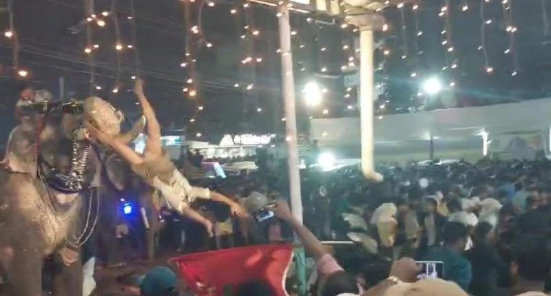 The moment the crowd member is swooped up by the animal