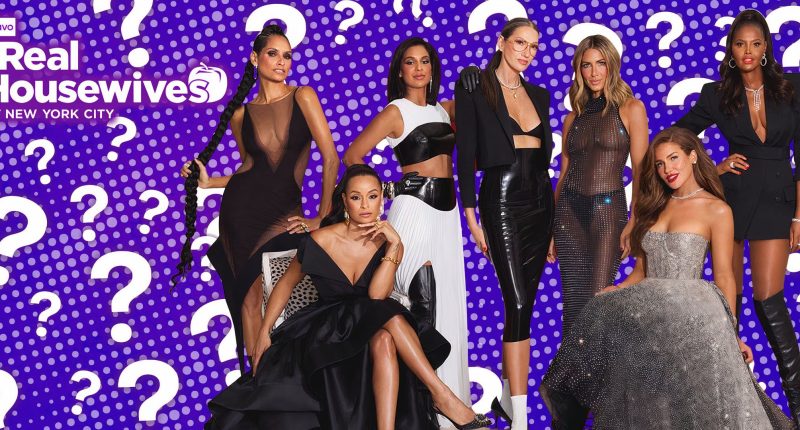 What Do The Real Housewives Of New York City Cast Do For Work?