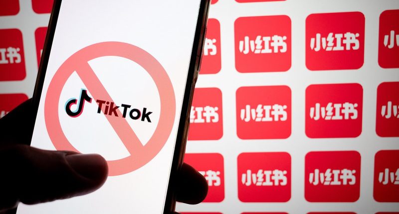 What time will TikTok go dark? The ban and what happens next explained