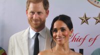 Why Harry and Meghan's offer over LA fires has gone up in flames