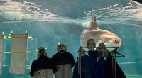Sunfish in an aquarium tank with merchandise displayed in the foreground.