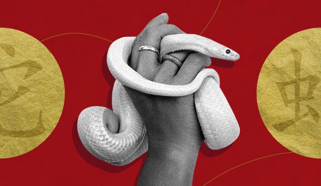 Year of the Snake: Lunar New Year Is All About Inner Transformation