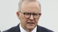Prime Minister Anthony Albanese at a doorstop interview