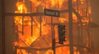 LOS ANGELES, CALIFORNIA - JANUARY 8: Flames from the Palisades Fire burn a building on Sunset Boulevard amid a powerful windstorm on January 8, 2025 in the Pacific Palisades neighborhood of Los Angeles, California. Fueled by intense Santa Ana Winds, the Palisades Fire has grown to over 15,000 acres and 30,000 people have been ordered to evacuate while a second major fire continues to burn near Eaton Canyon in Altadena. (Photo by Apu Gomes/Getty Images)