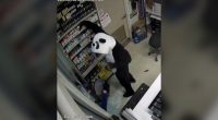 'Panda bandits' arrested, suspected in Denver burglaries: Police