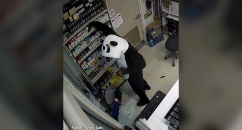 'Panda bandits' arrested, suspected in Denver burglaries: Police