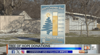 'Tree of Hope' campaign nearing $300K goal in Champaign