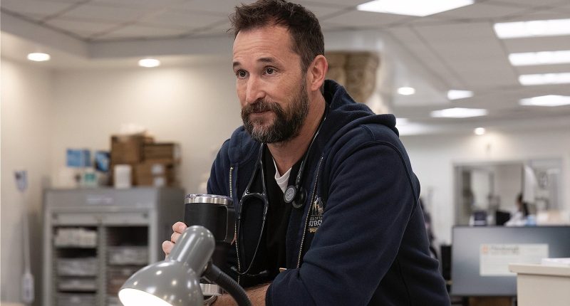 13 Shows Like The Pitt You Should Watch Next