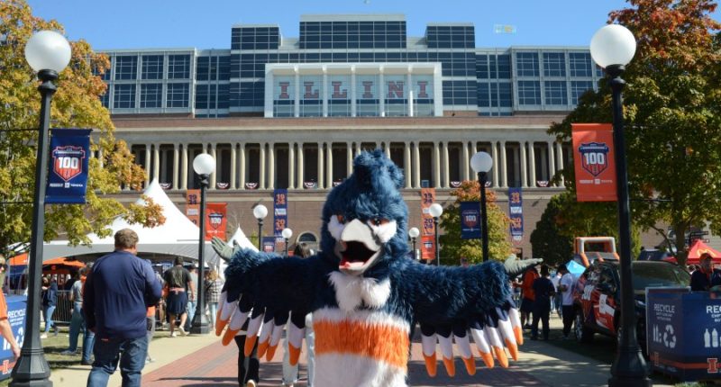 2025: The year of the Belted Kingfisher?