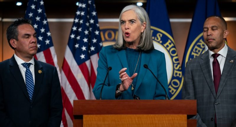 All Democrats expected to participate in Speaker’s vote 