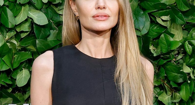 Angelina Jolie Calls Out “Liars” Amid Brad Pitt Divorce Settlement