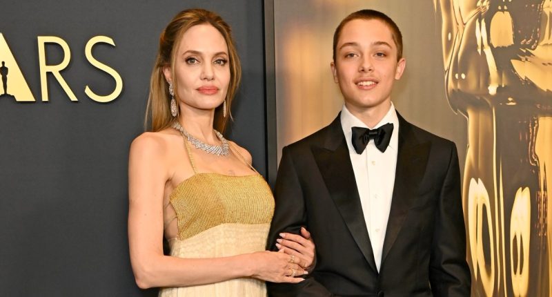Angelina Jolie and Son Knox Buy Groceries, Host LA Fire Victims