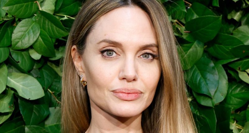 Angelina Jolie 'hopes Brad Pitt will stop attacking her' after divorce