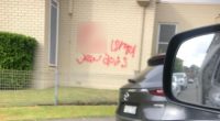 Another synagogue has been graffitied with nazi symbols in Sydney's south-west.