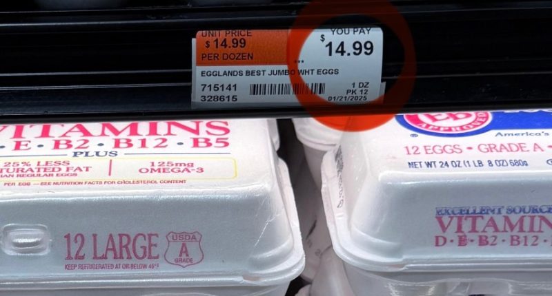Are eggs cheaper under Trump? TikToker intends to hold administration accountable
