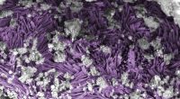 A vein of sodium carbonate appears like needles, falsely colored in purple to show detail, within the clay-rich rock of the Bennu sample.