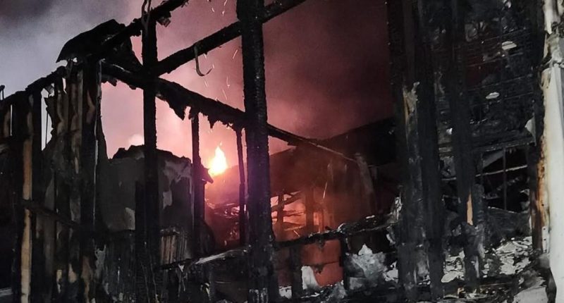 Ayla's Acres animal rescue in St. Augustine burns down