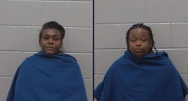 Babysitters arrested after pit bull kills girl