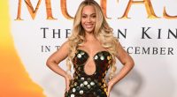 Beyonce donates $2.5 million help wildfire victims