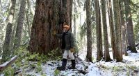 Biden administration withdraws old growth forest plan after getting pushback from industry and GOP