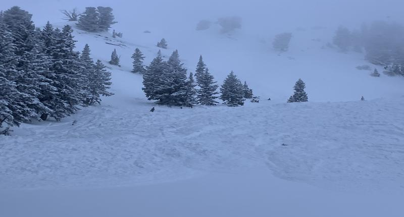 Big Cottonwood Canyon avalanche partially buries one skier