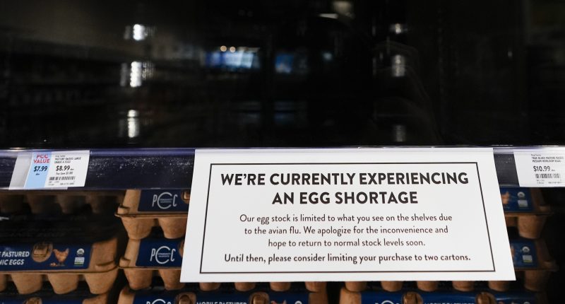 Bird flu has made eggs more expensive — does it also make them unsafe to eat?