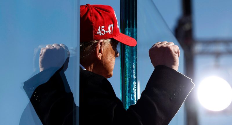 Birthright citizenship and other Trump executive actions likely to face pushback from the courts