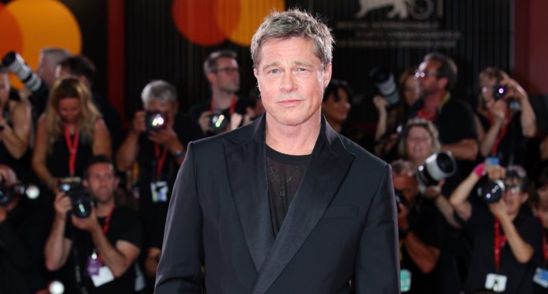 Brad Pitt Reacts to Catfish AI Scam: Everything We Know