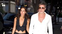 Brad Pitt Wants Ines de Ramon to Sign Prenup: ‘Touchy Subject’