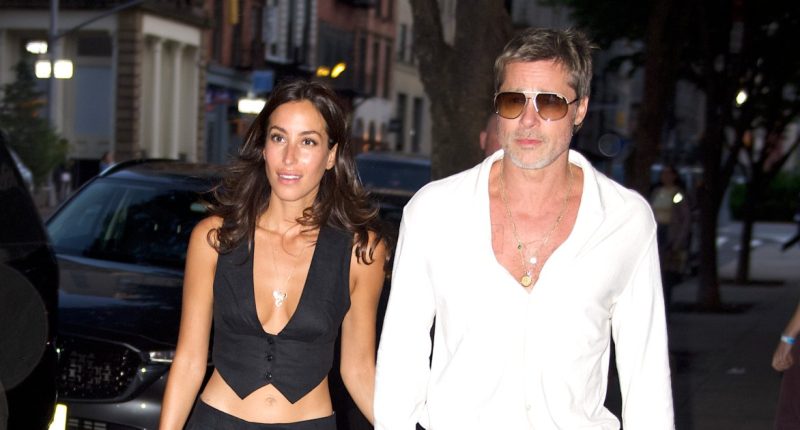 Brad Pitt Wants Ines de Ramon to Sign Prenup: ‘Touchy Subject’