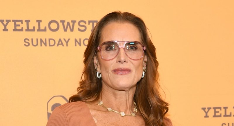 Brooke Shields Reveals Doctor Did Intimate Surgery Without Her Consent