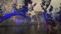 Dadswells Bridge CFA 
Little Desert National Park fire: Victoria bushifres. 29.01.25