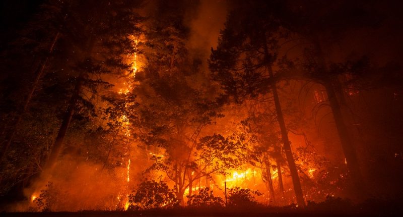 California regulation requires insurance companies to offer coverage in high-risk areas