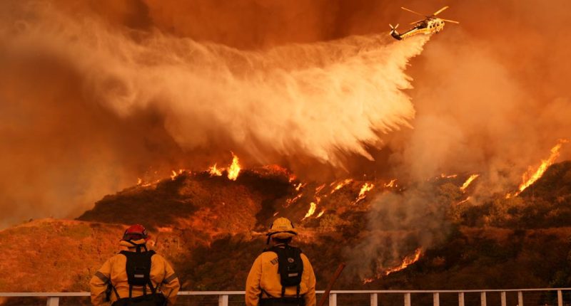 California wildfires: Families return home to search the ruins for memories