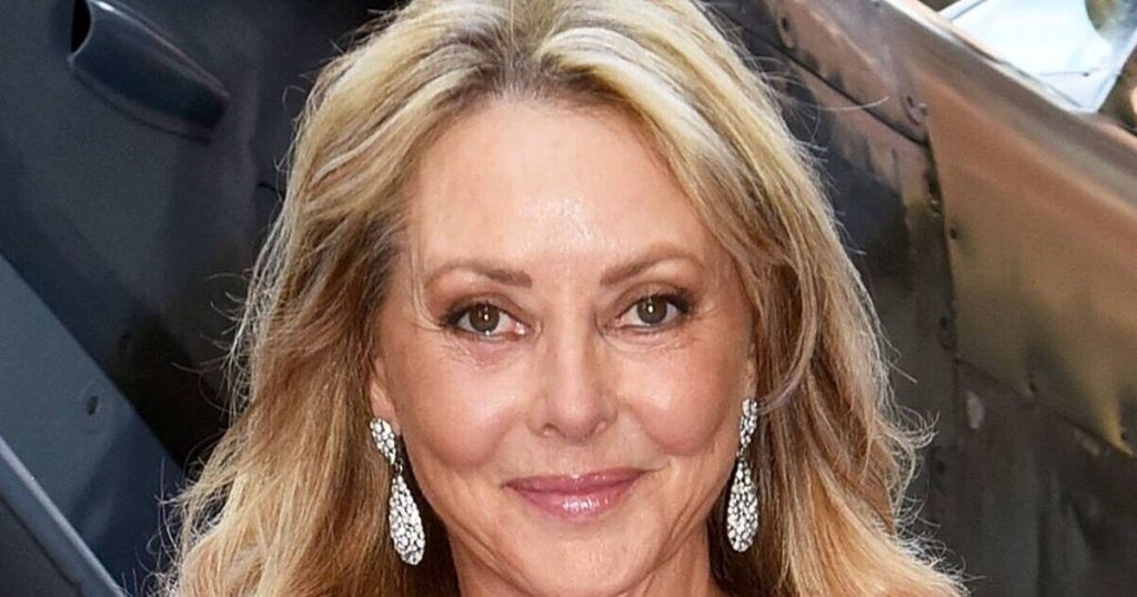 Carol Vorderman's daily diet regime to be a size 9 and it doesn't include calorie counting