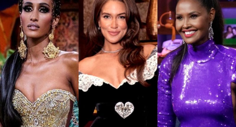 Chanel Ayan Addresses Brynn Whitfield’s Allegations Against Ubah Hassan on RHONY and Tells Her to Stop “Producing,” Plus Brynn Hints at “Mistakes” in New Post Ahead of Birthday