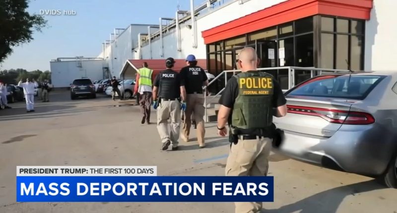 Chicago deportation plans: Fears over Donald Trump administration ICE raids impacting Little Village businesses