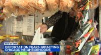 Chicago food cart vendors, CPS families have growing fears of mass deportations ahead of 2nd Donald Trump presidency