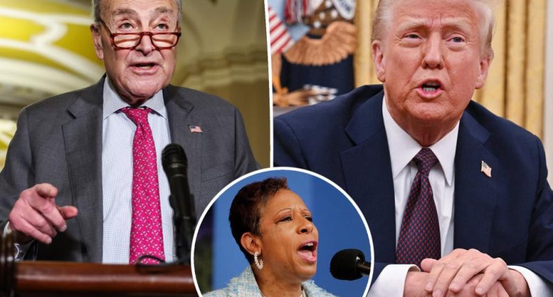 Chuck Schumer’s office upsets Democratic aide with inaugural email exposing info to MAGA faithful by not using ‘BCC’