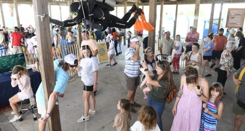 CoastFest in Brunswick rescheduled, to return