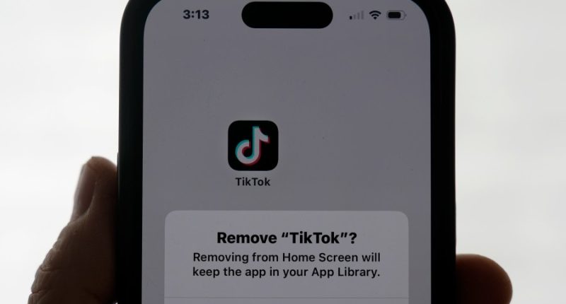 Content creators respond to TikTok's uncertain future in the US