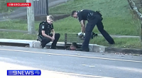 Cops pull incredible find from Brisbane drain