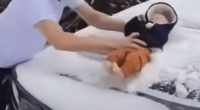 Cops to arrest man who used baby to wipe snow off car